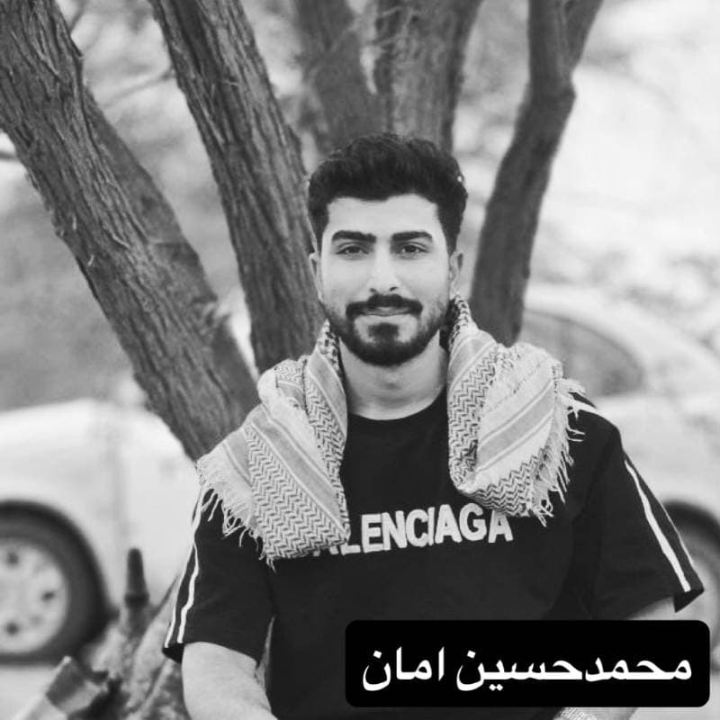 MohammadHossein Aman